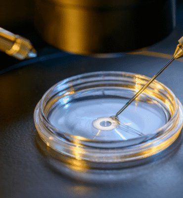 IVF Management Software