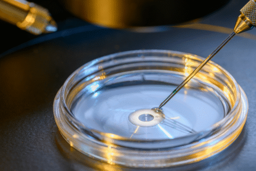 IVF Management Software